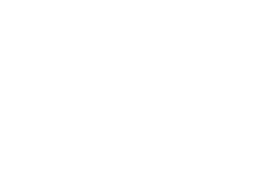 Park Pixel AS